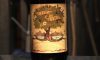Dogfish Head & Sierra Nevada: Life and Limb – Ep. 105